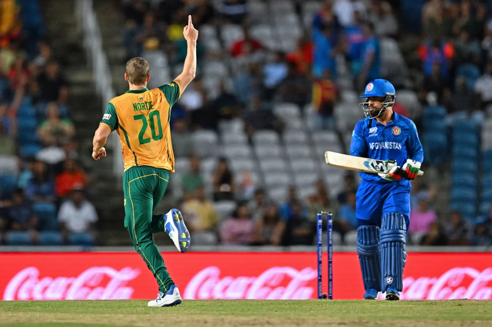 T20 World Cup 2024, SF 1, SA vs AFG: South Africa beat Afghanistan (Source: ©ICC/X) T20 World Cup 2024, SF 1, SA vs AFG: South Africa beat Afghanistan in semis | Walking Wicket (Source_ ©ICC_X)