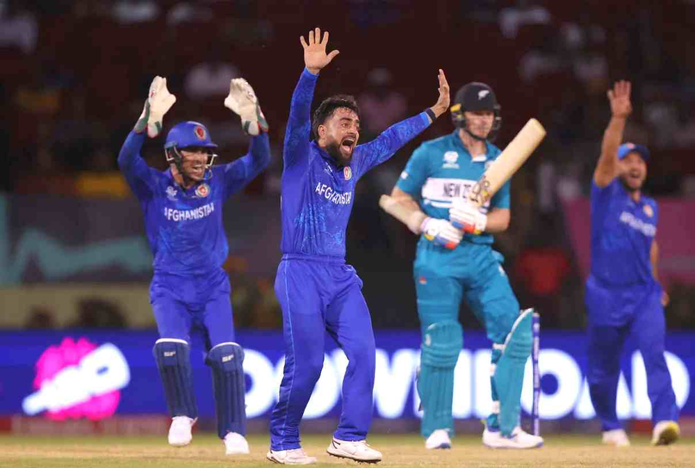 T20 World Cup 2024, AFG vs NZ: How Afghanistan find ways to beat New Zealand? | Walking Wicket (Photo_ ©ACBofficials_X)