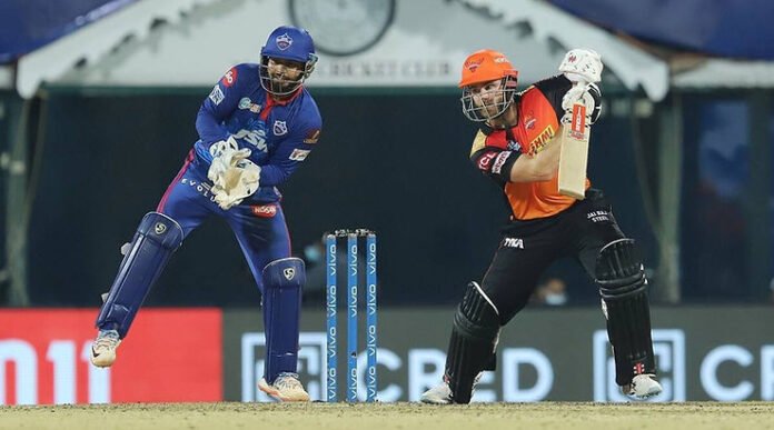 Rishabh Pant to remain Delhi Capitals captain, SRH appoints Williamson. (Image: IPL)