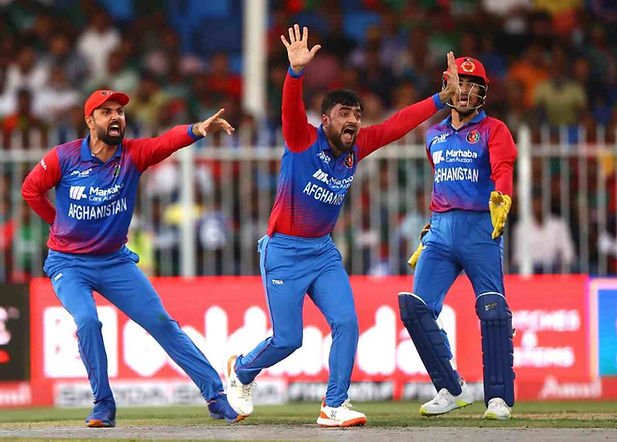 ICC Men's T20 World Cup 2022: Afghanistan complete T20 World Cup squad analysis; Qais Ahmad added to squad _ Walking Wicket (Source_ ©Getty Images)